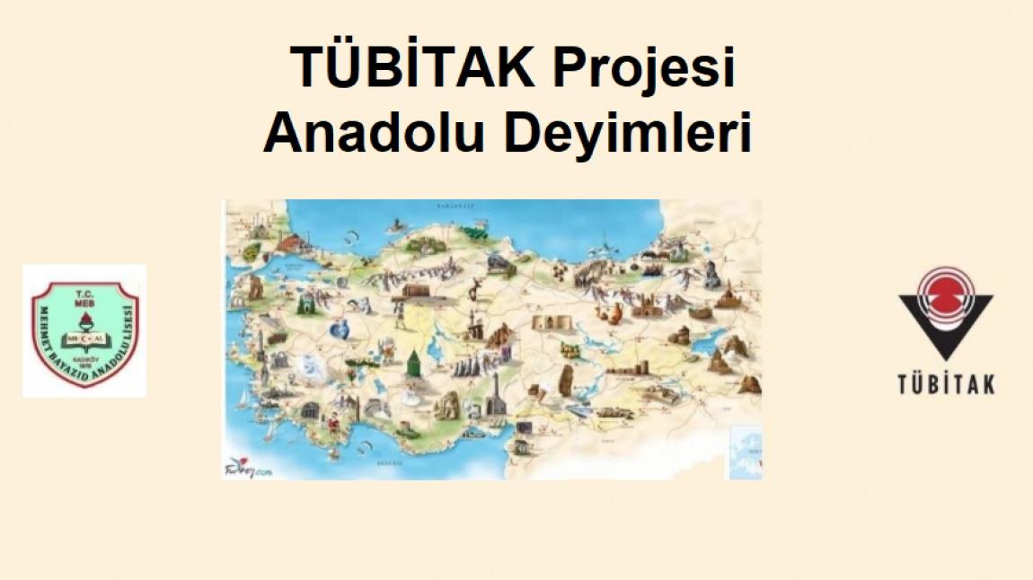 TÜBİTAK Projesi - Anadolu Deyimleri Sözlüğü Veri Toplama Çalışması